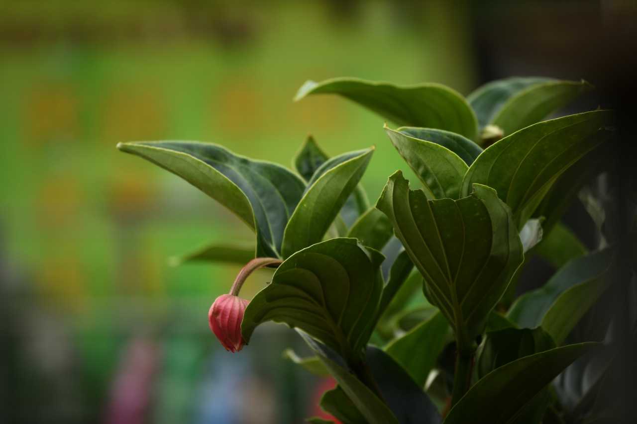 DSC_5459.JPG