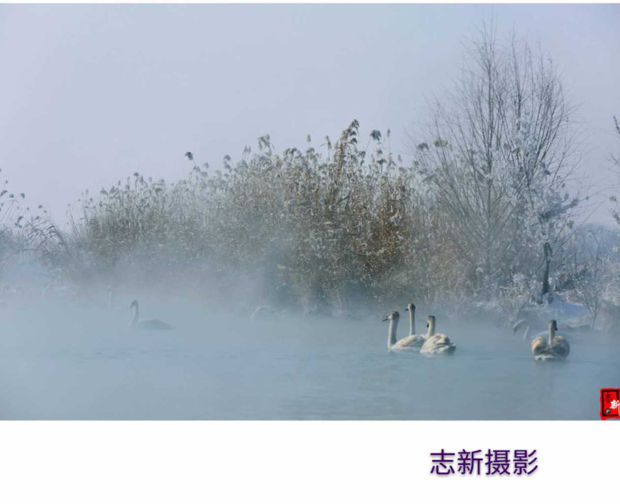 wechat_upload15468805215c33860969d21