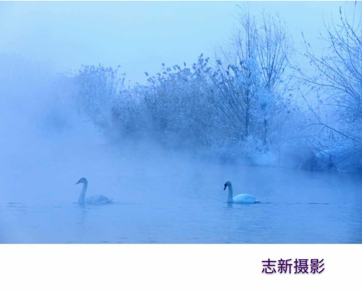wechat_upload15468805265c33860ed2763