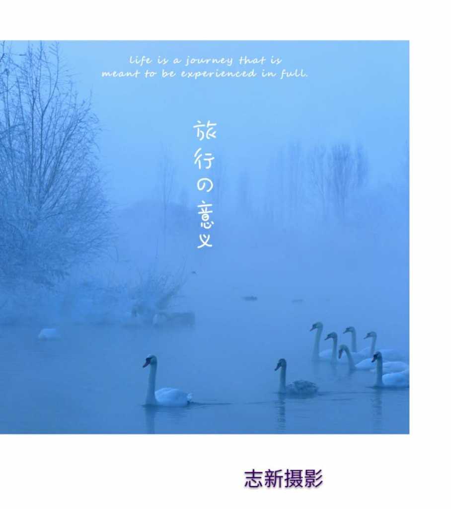 wechat_upload15468805295c338611091fc