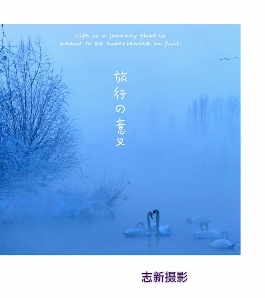 wechat_upload15468805315c33861347719