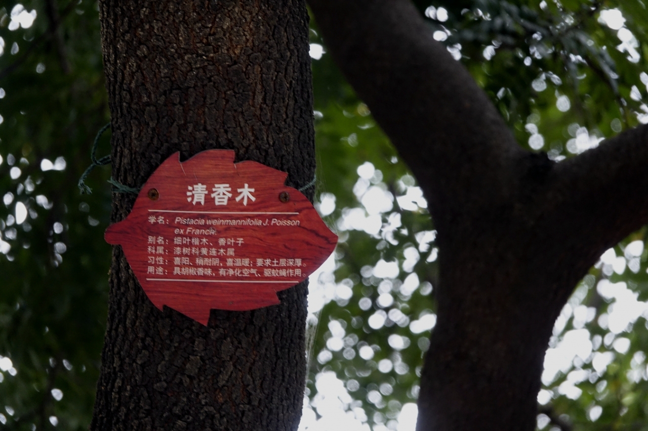 树07.jpg