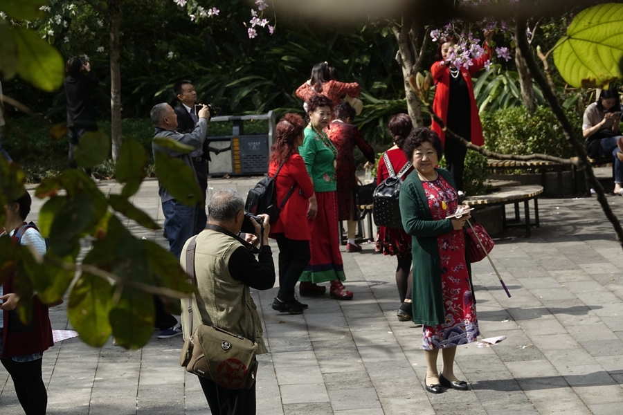 _DSC1283_副本.jpg