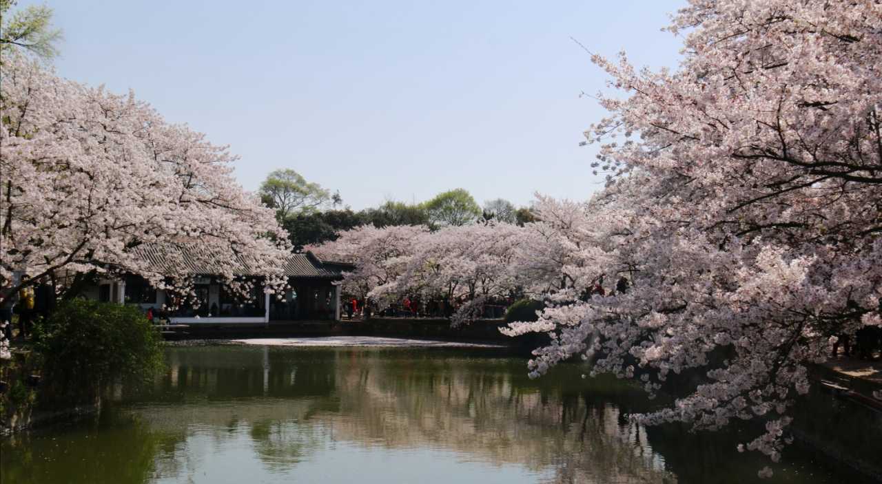 20190401083247__MG_0130.JPG