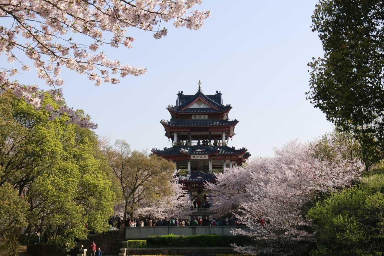 20190401083247__MG_0130.JPG