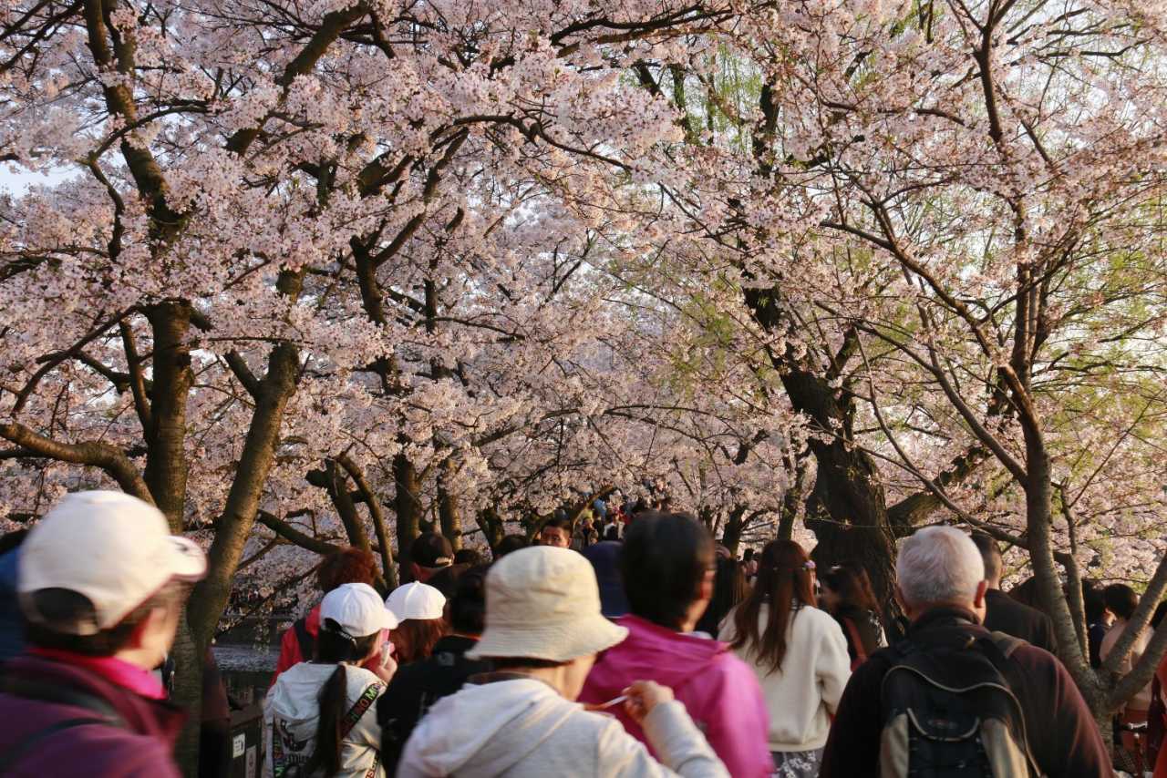20190401083247__MG_0130.JPG