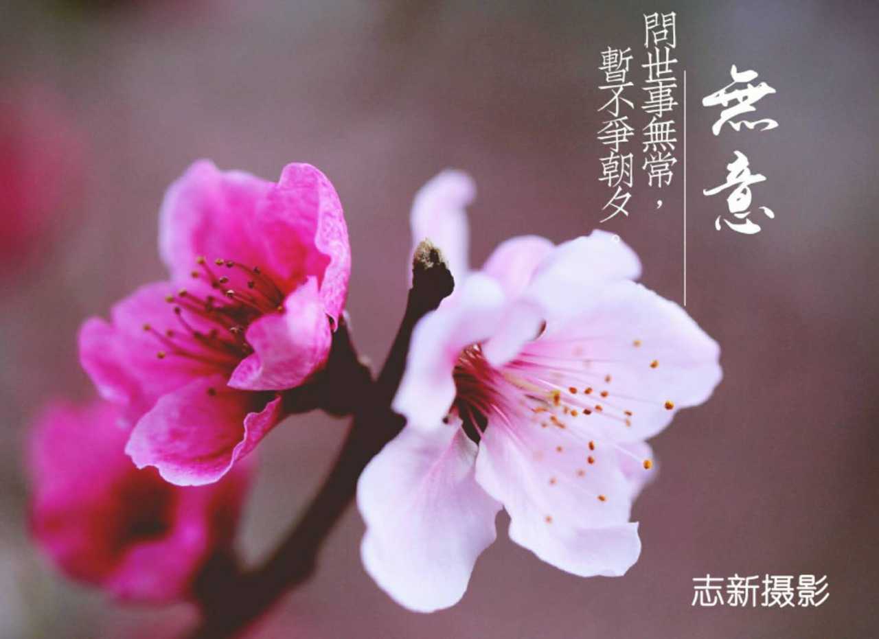 wechat_upload15558119285cbbce58c94c6