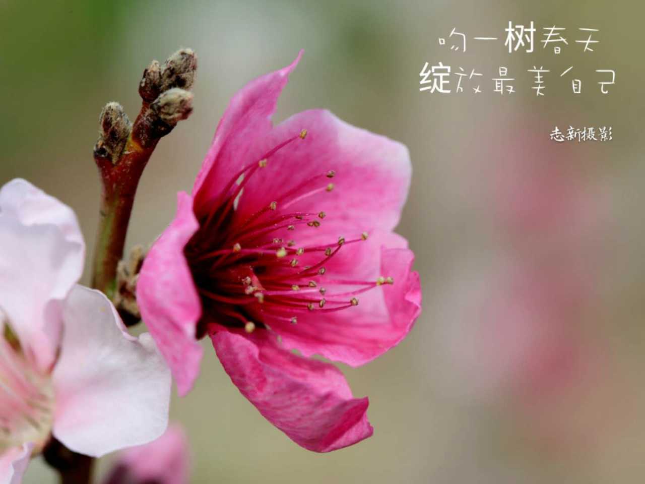 wechat_upload15558119325cbbce5c84667
