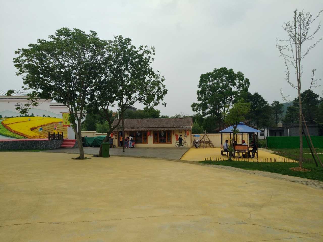 IMG_20190701_131111.jpg