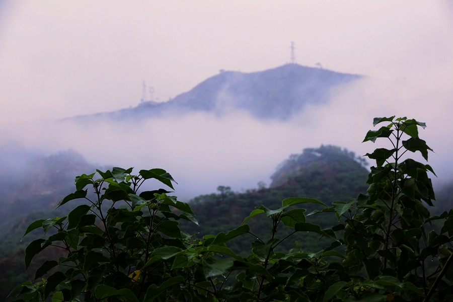 _DSC4745_副本.jpg