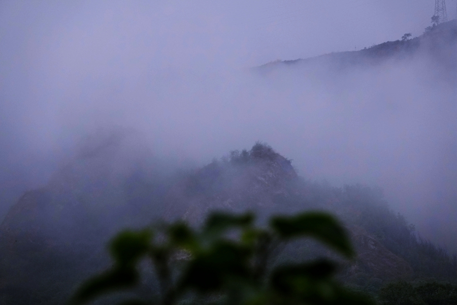 _DSC4747_副本.jpg