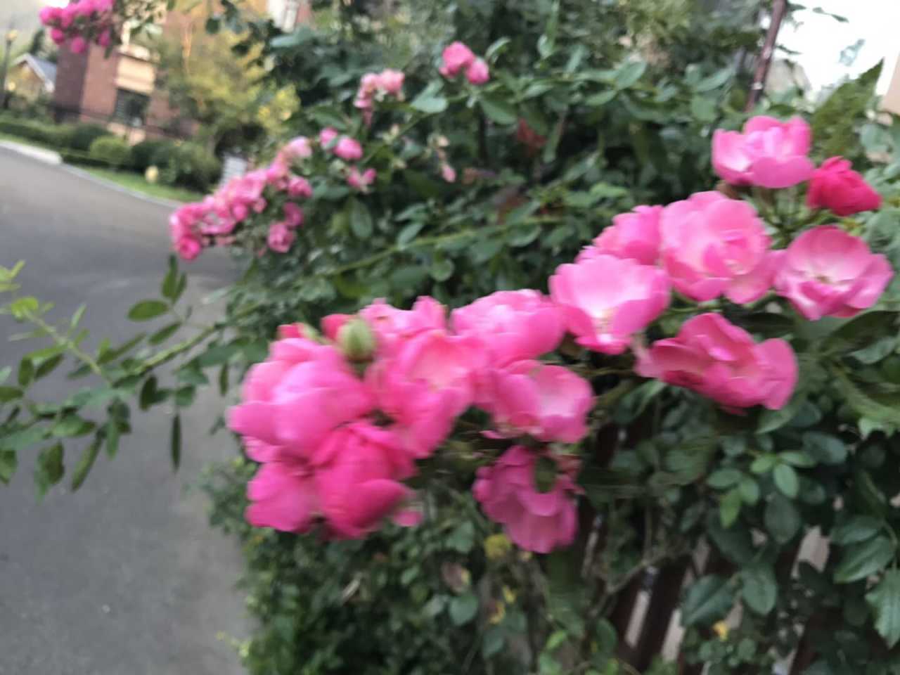 wechat_upload15665613175d5fd42569e92