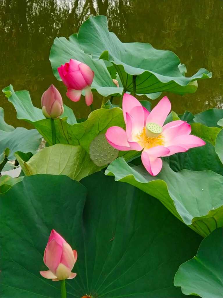 wechat_upload15669708185d6613c279207