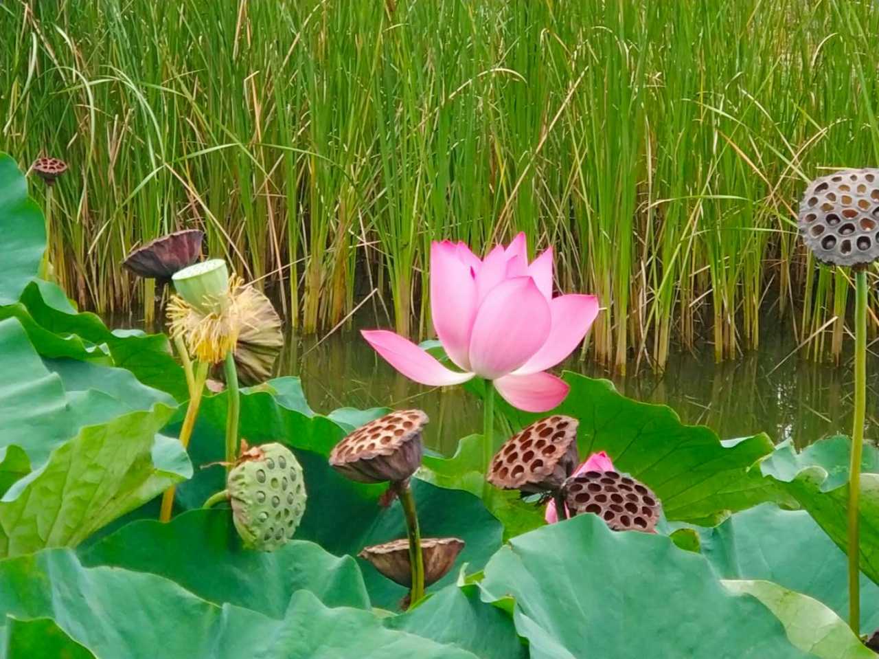 wechat_upload15669708345d6613d2e158d