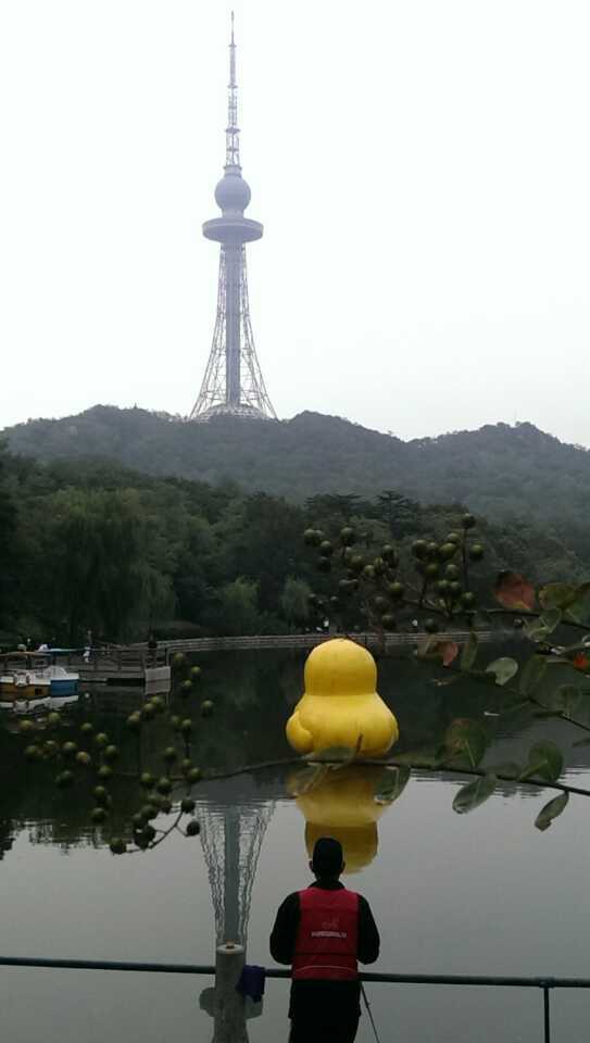 wechat_upload15672914505d6af83a2320f