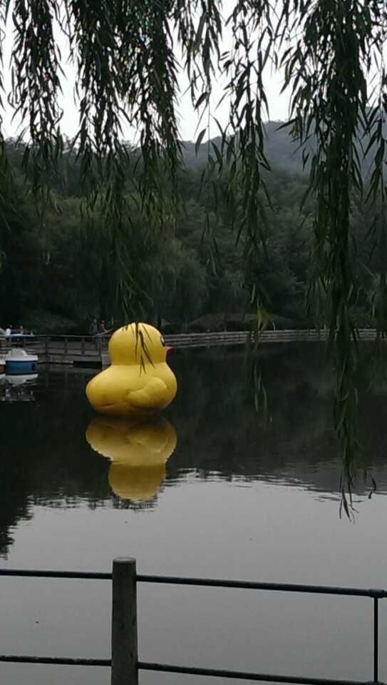 wechat_upload15672914515d6af83be5993