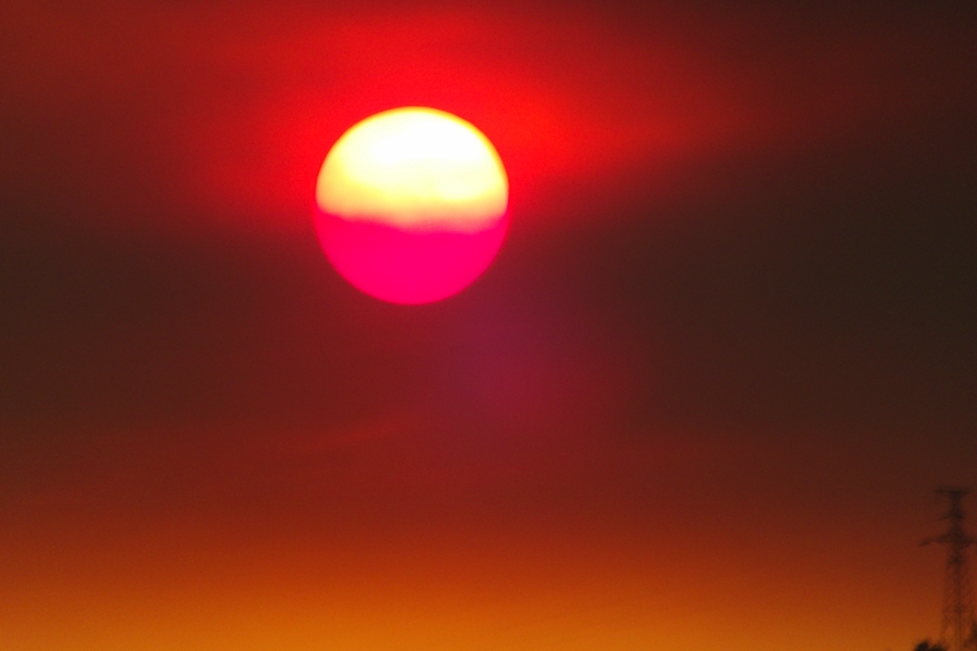 _DSC4526...jpg