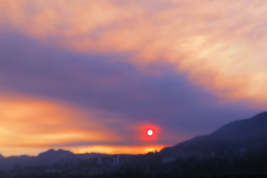 _DSC4526.jpg