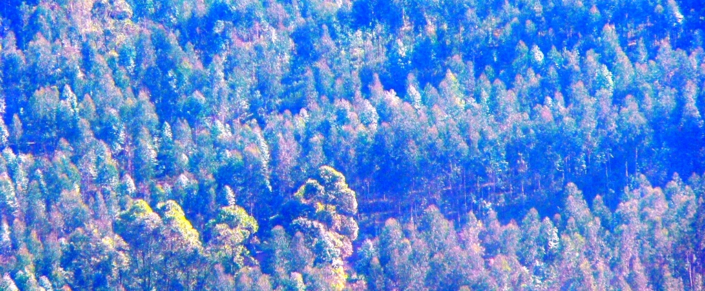 06-0072.jpg