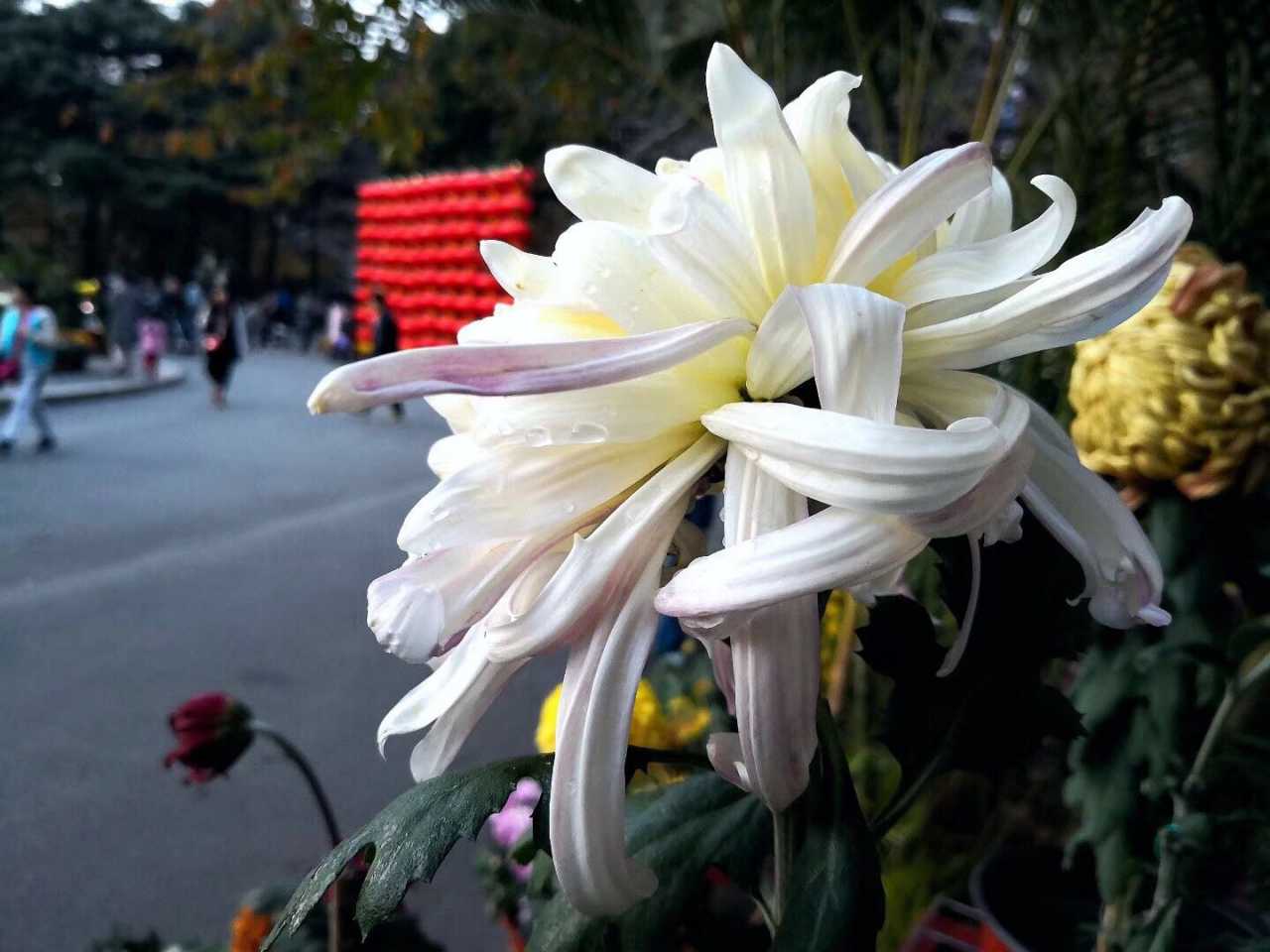wechat_upload15677324355d71b2d38e0e4