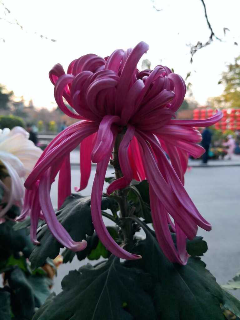wechat_upload15677324415d71b2d9df2f5