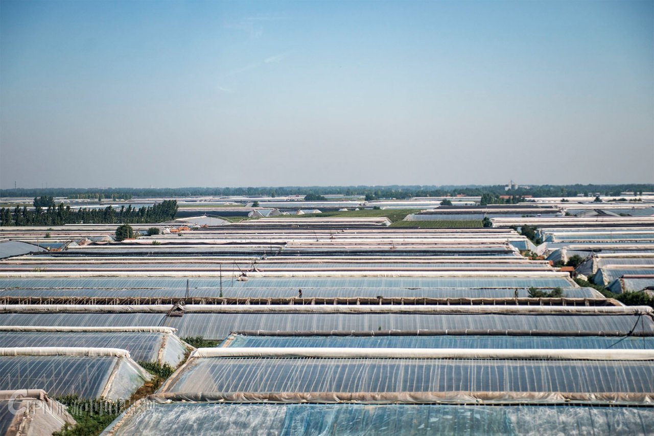 寿光无土蔬菜种植基地图片