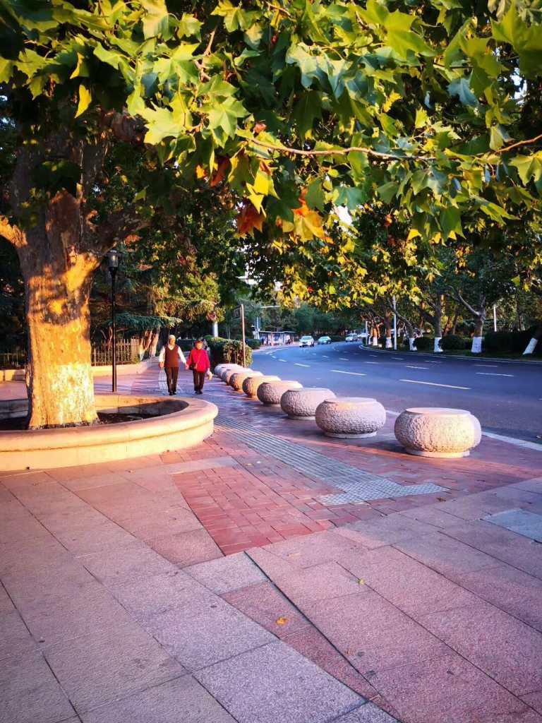 wechat_upload15679411055d74e1f1e529a