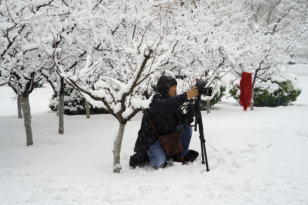 三.6人文纪实《风雪中的摄影人》拍摄于蓬莱城市公园.jpg