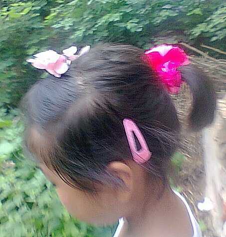 004.jpg
