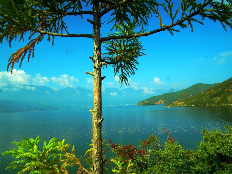 沪沽湖014.jpg