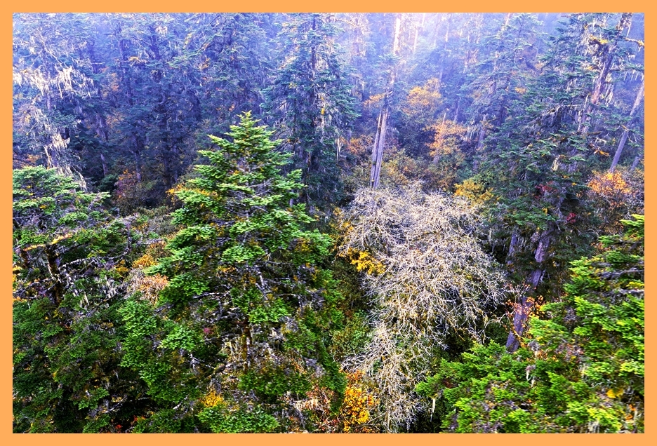 秋景04.jpg
