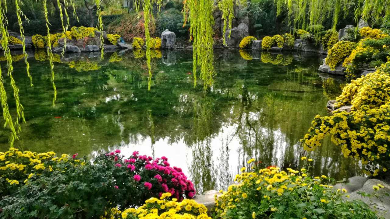 wechat_upload15736932595dcca74bd6525