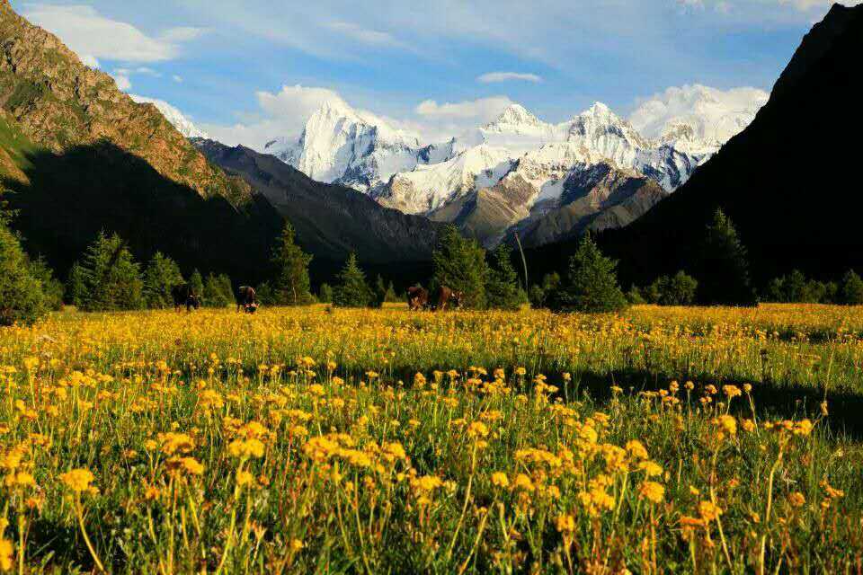 wechat_upload15804124515e332e238c4ee