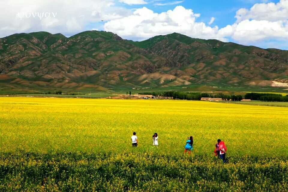 wechat_upload15804125625e332e92590cc