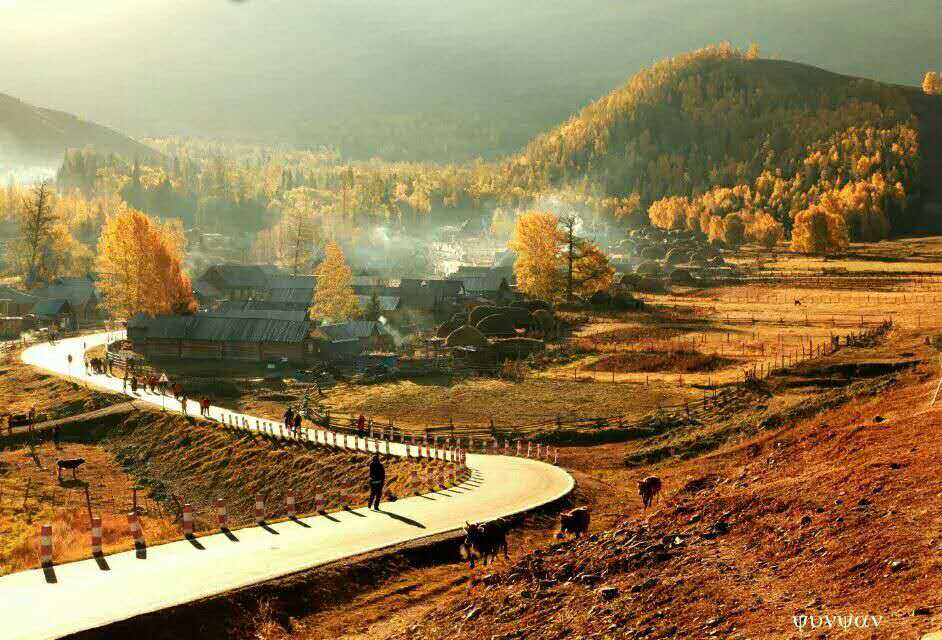 wechat_upload15804126435e332ee3a593e