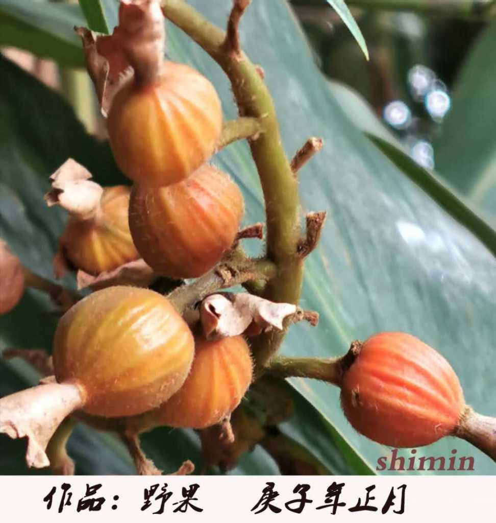 wechat_upload15821564635e4dcaafa1bed