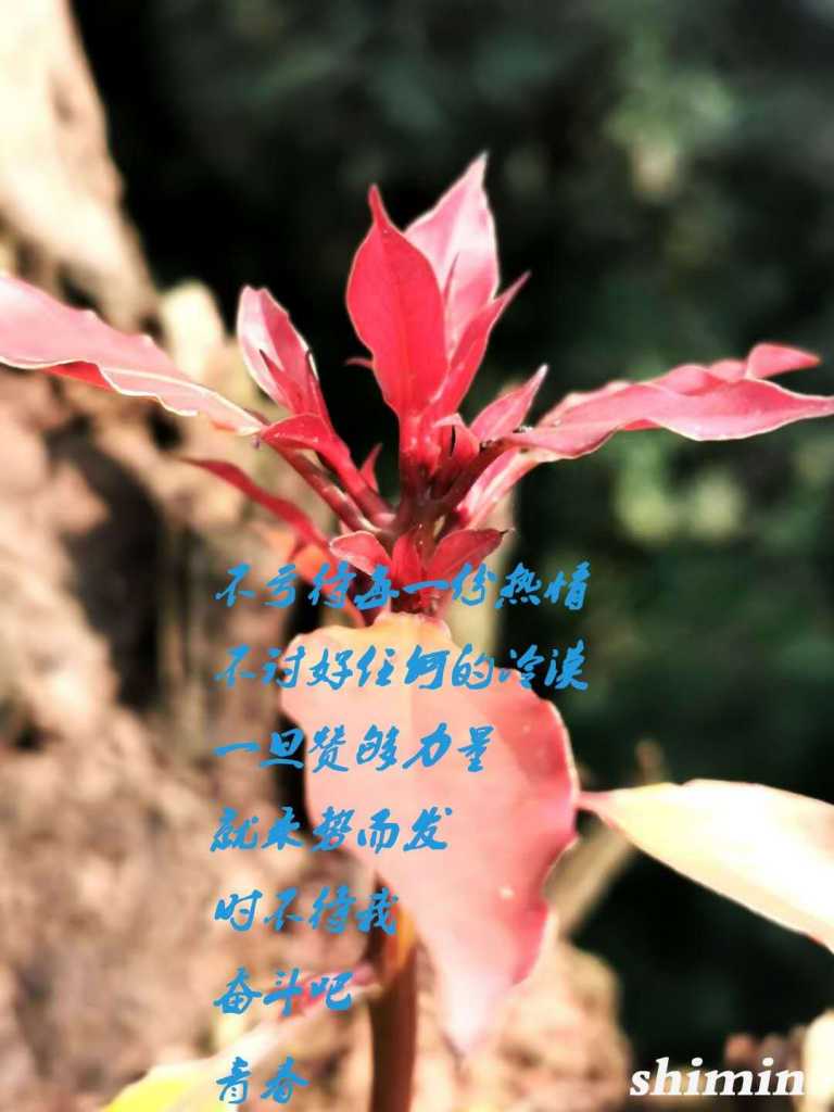 wechat_upload15821564675e4dcab363f47