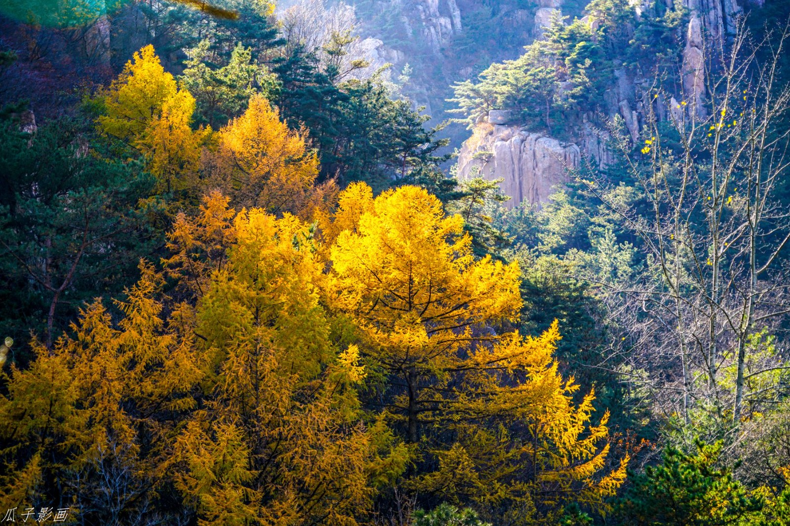 黄山。鹤山。北九水182_副本.jpg