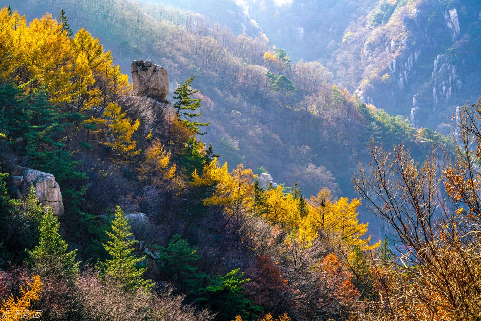 黄山。鹤山。北九水244_副本.jpg