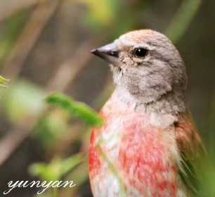 wechat_upload15831773605e5d5e908c693