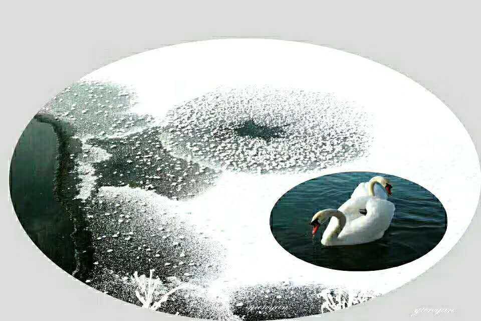 wechat_upload15840826335e6b2ec9f156a