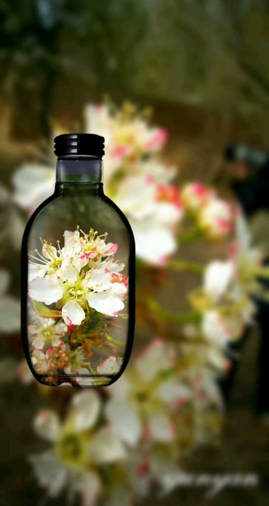 wechat_upload15873506965e9d0ca806e26