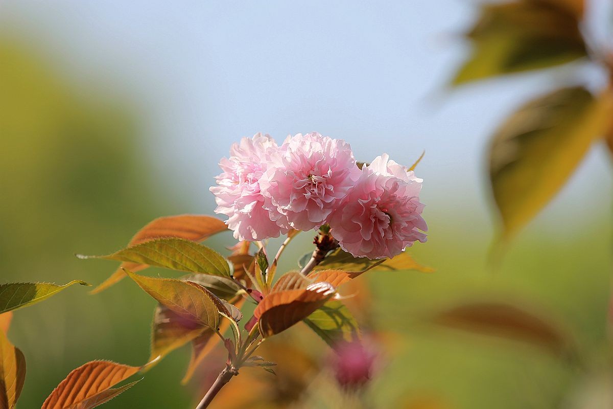IMG_9697_副本.jpg