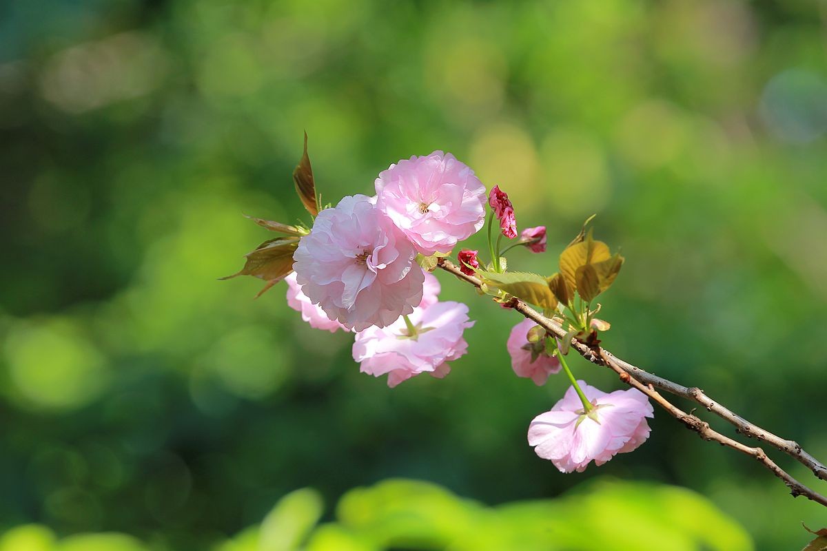 IMG_9711_副本.jpg