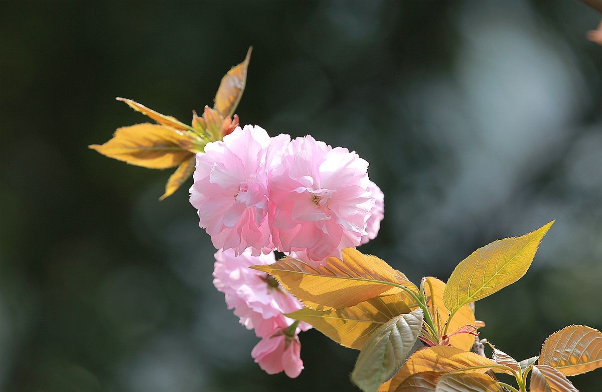 IMG_9863_副本.jpg