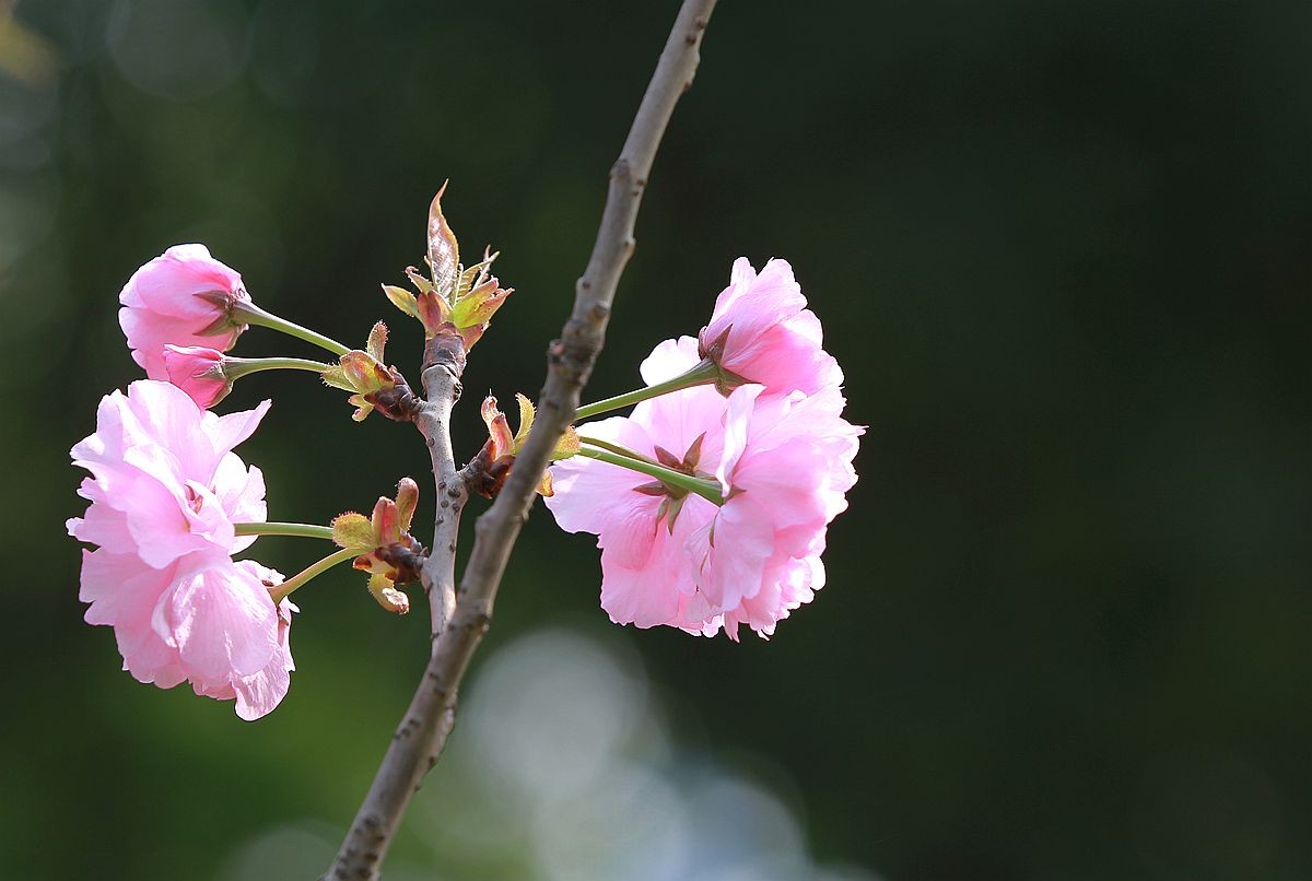 IMG_9869_副本.jpg