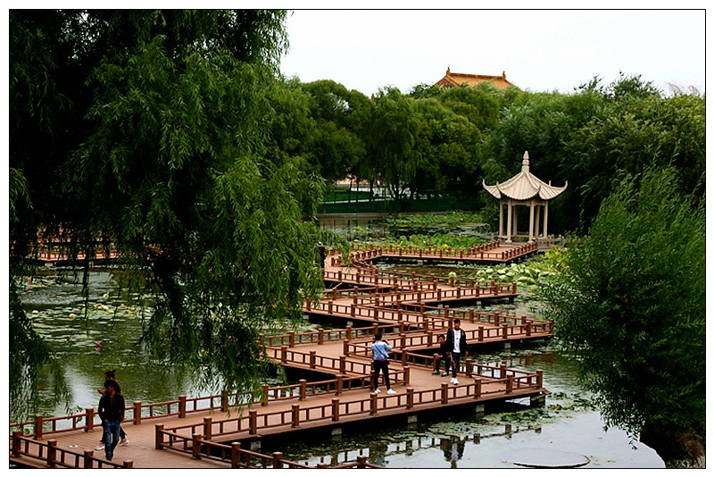 IMG_3644_8奎屯西公园.jpg