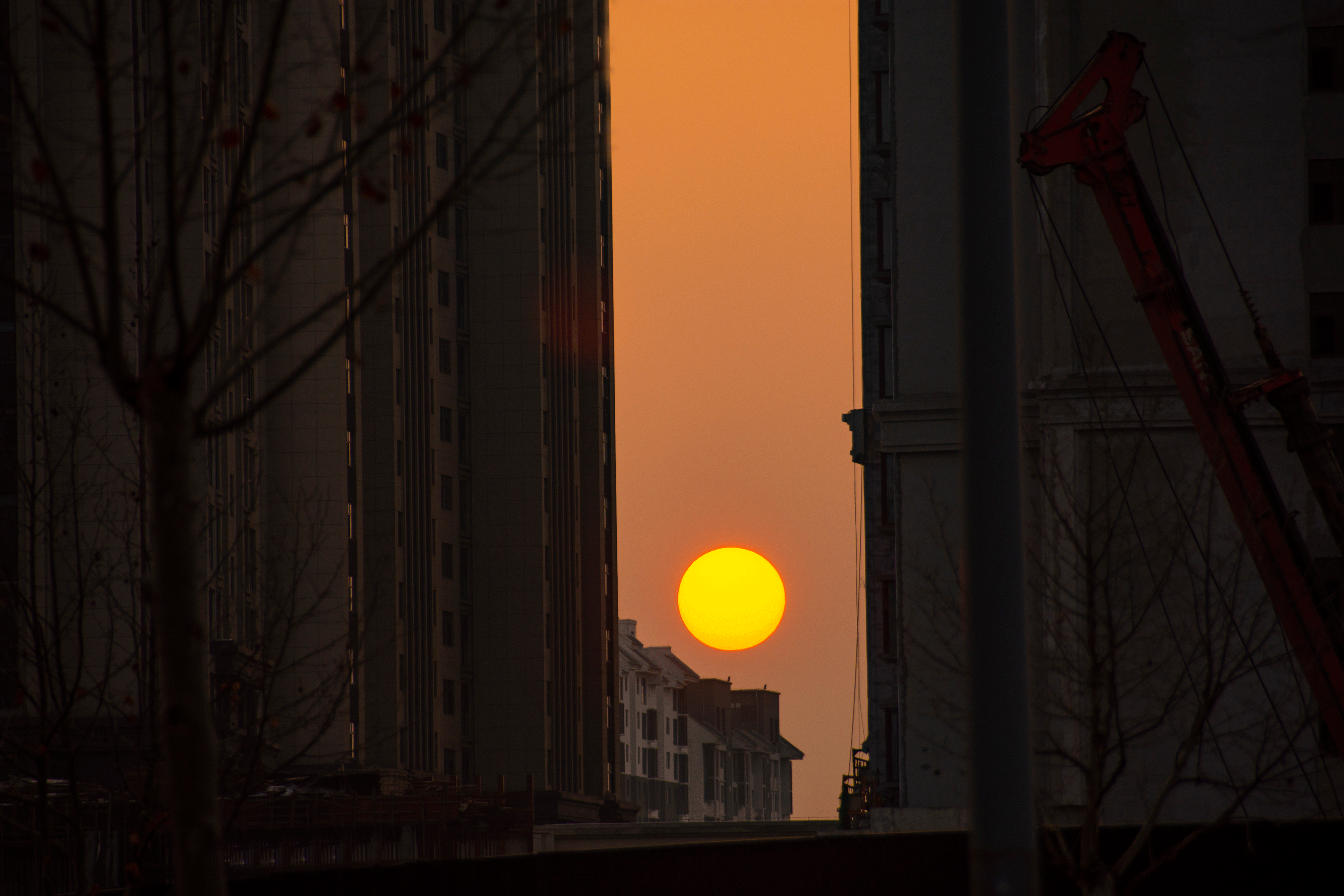 DSC_0216.gif
