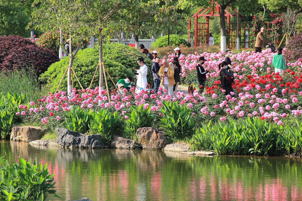 IMG_0794_副本.jpg