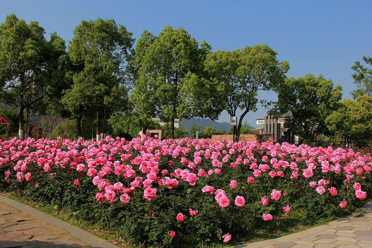 IMG_0816_副本.jpg